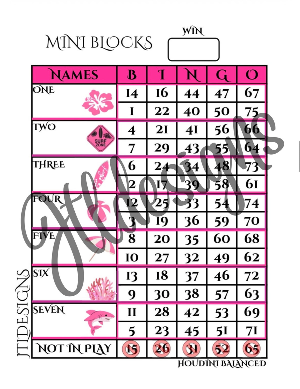 Aloha Pink Mini Blocks