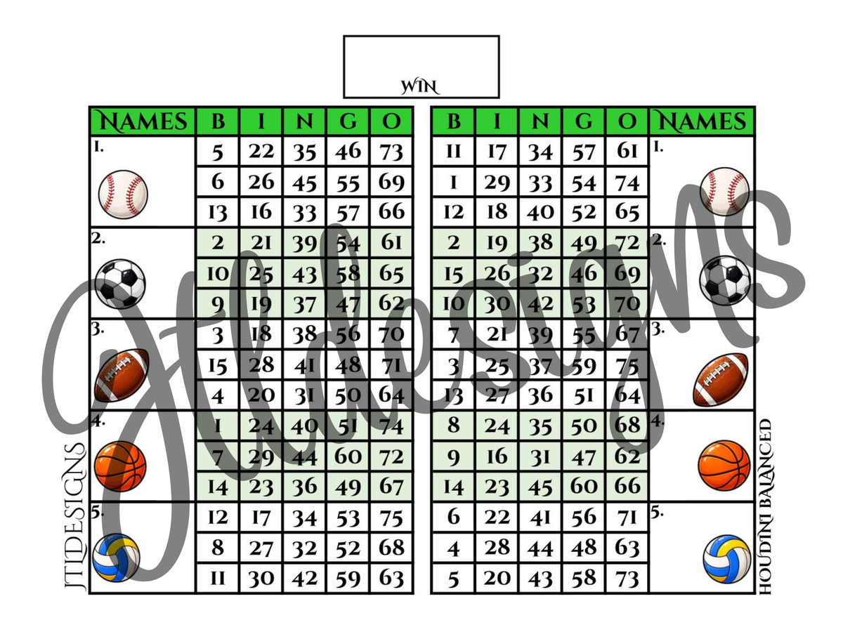 Sports Balls Double Blocks